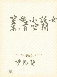 穿越小说女主姓叶,有空间