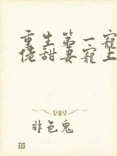 重生第一宠:大佬甜妻宠上天小说