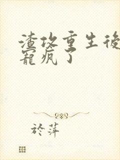 渣攻重生后把我宠疯了