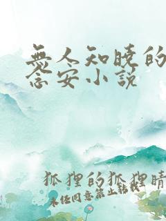 无人知晓的她苏念安小说