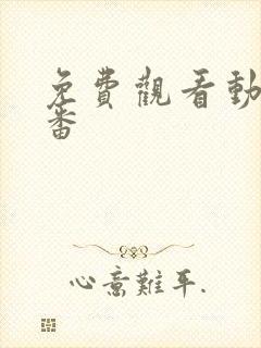 免费观看动漫里番