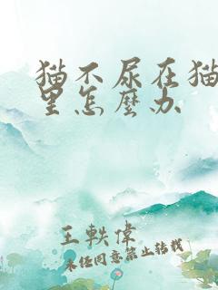 猫不尿在猫砂盆里怎么办