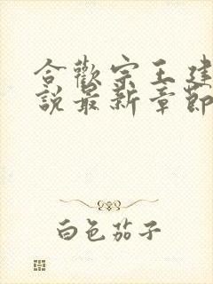 合欢宗王建强小说最新章节