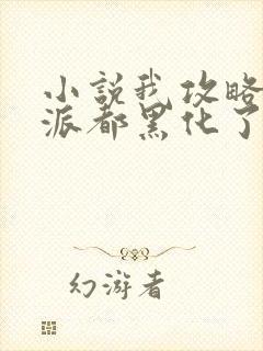 小说我攻略的反派都黑化了最新章节