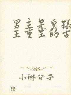 男主是皇孙,女主重生的古言