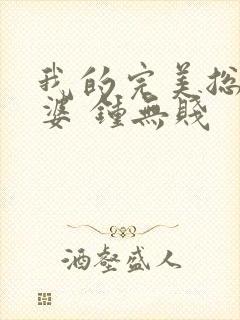 我的完美总裁老婆 钟无贱