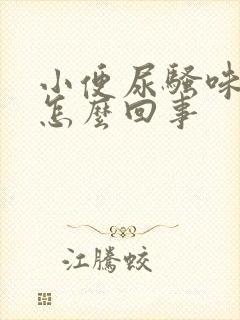 小便尿骚味大是怎么回事