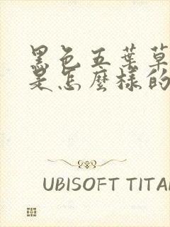 黑色五叶草结局是怎么样的