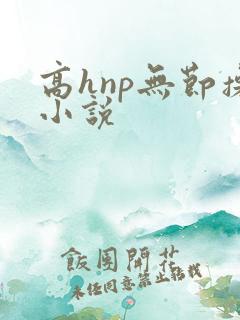 高hnp无节操小说