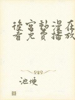 后宫动漫在线观看免费播放电视剧