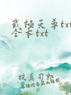 武极天尊txt全本txt