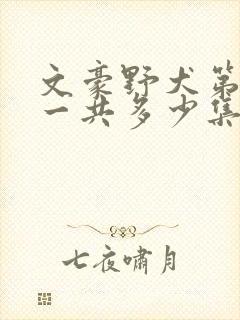 文豪野犬第四季一共多少集