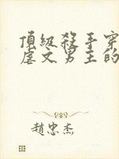 顶级杀手穿越成虐文男主的小说视频