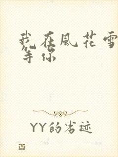 我在风花雪月里等你