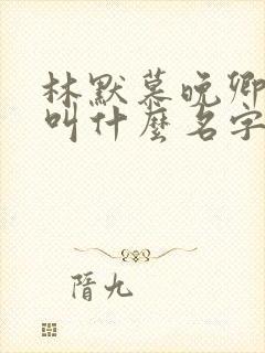 林默慕晚卿小说叫什么名字