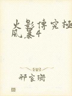 火影传究极忍者风暴4