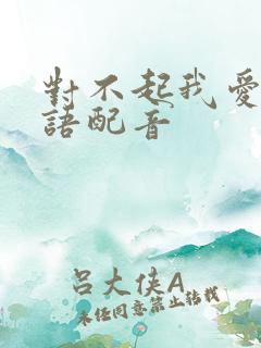 对不起我爱你国语配音