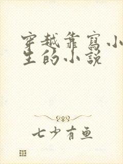 穿越靠写小说谋生的小说