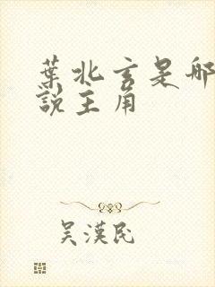 叶北玄是哪本小说主角