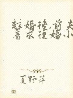 离婚后,前夫哭着求复婚小说阅读