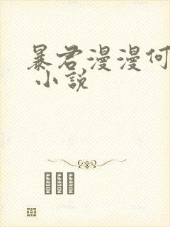 暴君漫漫何其多 小说