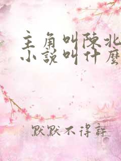 主角叫陈北玄的小说叫什么小说