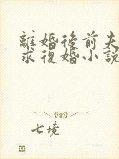 离婚后前夫哭着求复婚小说阅读全部