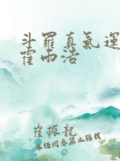 斗罗真气运之子霍雨浩