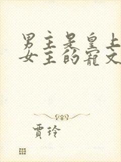 男主是皇上独宠女主的宠文