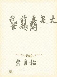 我前妻是大明星笔趣阁