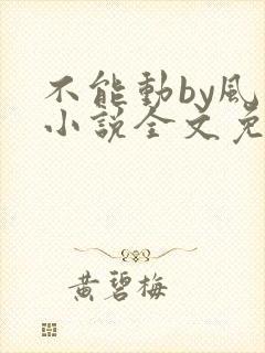 不能动by风弄小说全文免费阅读