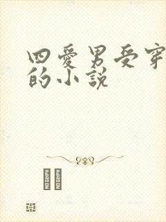 四爱男受穿女装的小说