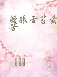 腹胀舌苔黄腻口苦