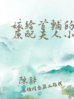 嫁给首辅的早逝原配夫人小说