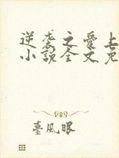 逆袭之爱上情敌小说全文免费阅读