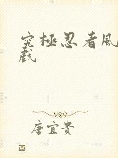 究极忍者风暴游戏