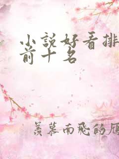 小说好看排行榜前十名