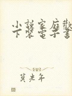 小说家庭欢乐夜下装电子书