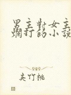 男主对女主死缠烂打的小说