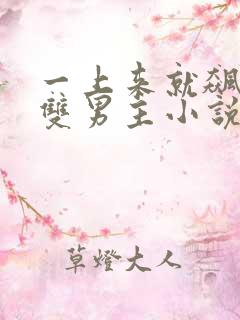 一上来就飙车的双男主小说