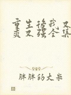 重生后我又飒又爽又强全集免费播放