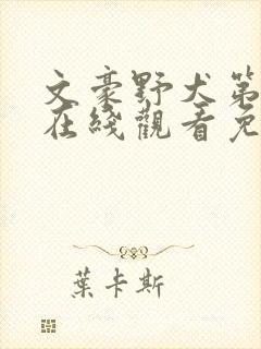 文豪野犬第六季在线观看免费