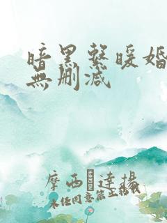 暗黑系暖婚免费无删减