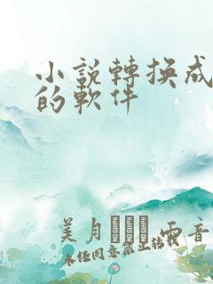 小说转换成动漫的软件