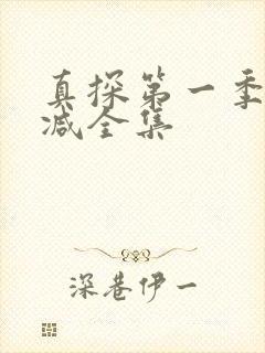 真探第一季无删减全集