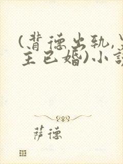 (背德出轨,男主已婚)小说