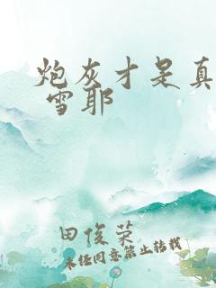 炮灰才是真大佬 雪耶
