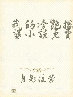 我的冷艳总裁老婆小说免费