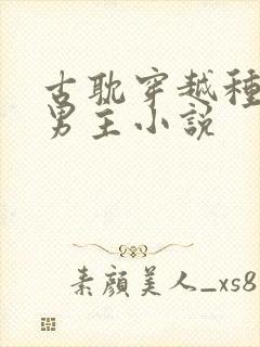 古耽穿越种田双男主小说