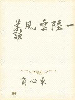 叶风云陆一曼小说